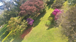 Casa con jardín a 200 metros Playa de Areas en Sanxenxo